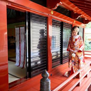 赤坂 氷川神社の写真(9210085)