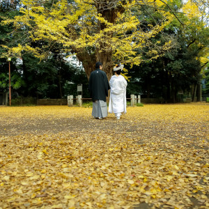 【赤坂氷川神社】境内にある大銀杏は推定樹齢400年。江戸時代初期から歴史の変遷を見守ってきたシンボル|赤坂 氷川神社の写真(51383891)
