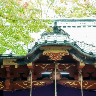【神社ツアー×和婚相談会】空き状況もご案内★和婚相談フェア
