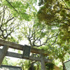 赤坂 氷川神社