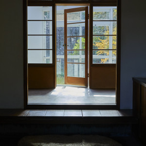 MAYAの写真(42099357)