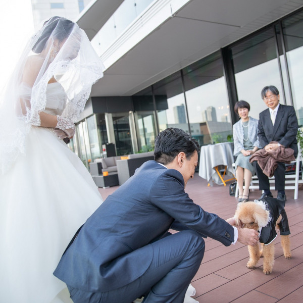 東京のペットと一緒の結婚式ができる結婚式場 口コミ人気の選 ウエディングパーク