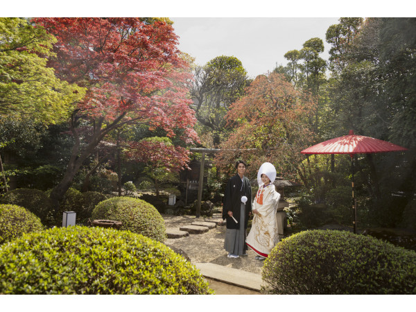 枯山水日本庭園 【野点の茶婚式も可能】