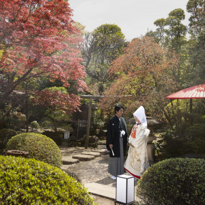 手入れの行き届いた日本庭園は、秋には紅葉が見頃を迎えます。
四季の彩りに包まれた空間が、和婚ならではの厳かさと華やかさを演出します。|～明治二年創業～　丹徳庭園ウエディングの写真(56611810)