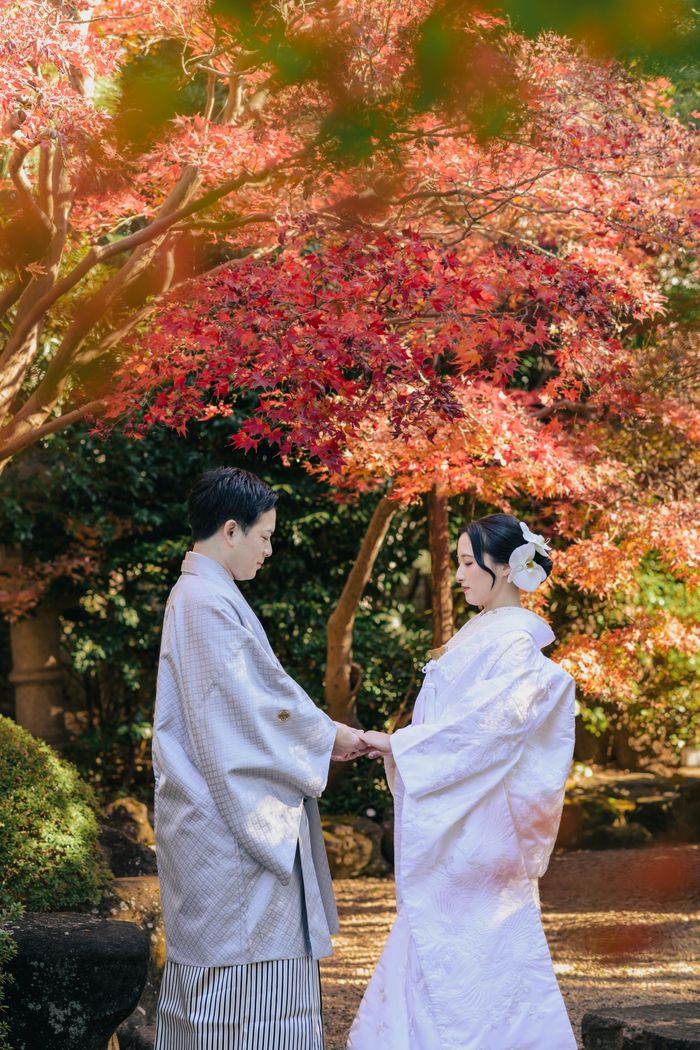 紅葉に彩られた枯山水の庭園