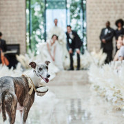 キンプトン新宿東京