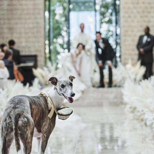 キンプトン新宿東京