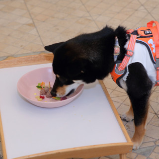 メイン料理を堪能♪