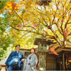 人気の為増枠決定★緑豊かな乃木神社散策×伝統の豪華試食