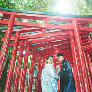 赤の鳥居が並ぶ神秘的な空間、赤坂王子稲荷|乃木神社・乃木會館の写真(23285541)
