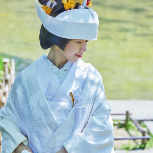 乃木神社・乃木會館の写真(46870468)
