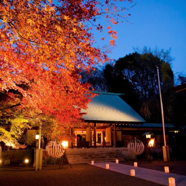 昼間とは雰囲気が異なり夜は紅葉に彩られロマンチックな表情を魅せる乃木神社