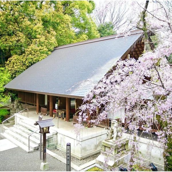 春だけの桜・青空・緑に囲まれて行われる神前式
