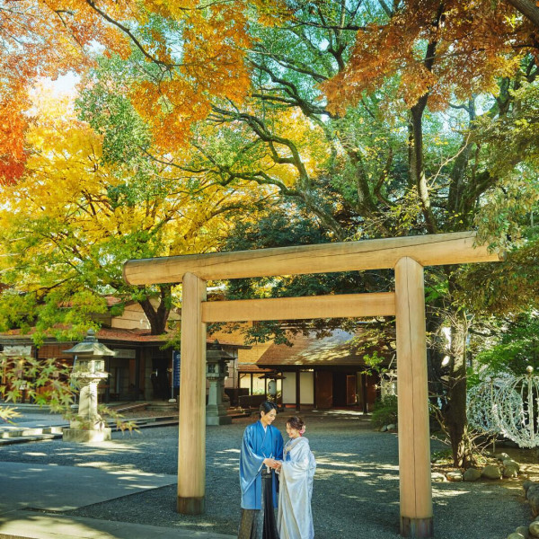 紅葉を背景に映える和装姿