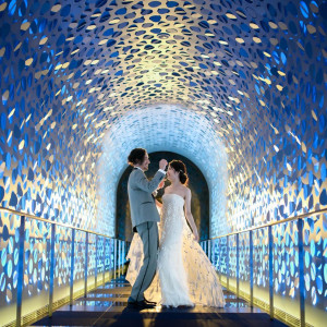 AM残2席!!年内最後★フルコース試食×体験型Fair