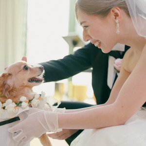 ラグジュアリーホテルで愛犬との挙式が叶う|W大阪の写真(49573343)