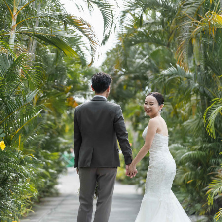 亜熱帯の植物に囲まれた自然豊かなホテル内の遊歩道。