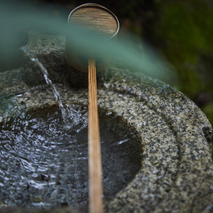 福岡市内とは思えない自然の豊かさに触れて|高宮庭園茶寮の写真(17695264)