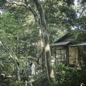 福岡市内とは思えない緑豊かな場所でおもてなし|高宮庭園茶寮の写真(18103197)