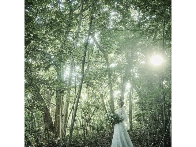 年末限定*豊富なご成約特典ご来館特典をご案内♪