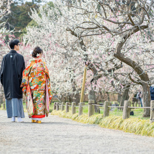 偕楽園3000本の梅|ときわ邸M-GARDEN|ときわ邸 M-GARDENの写真(53114232)