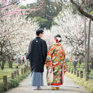偕楽園3000本の梅|ときわ邸M-GARDEN|ときわ邸 M-GARDENの写真(53114255)