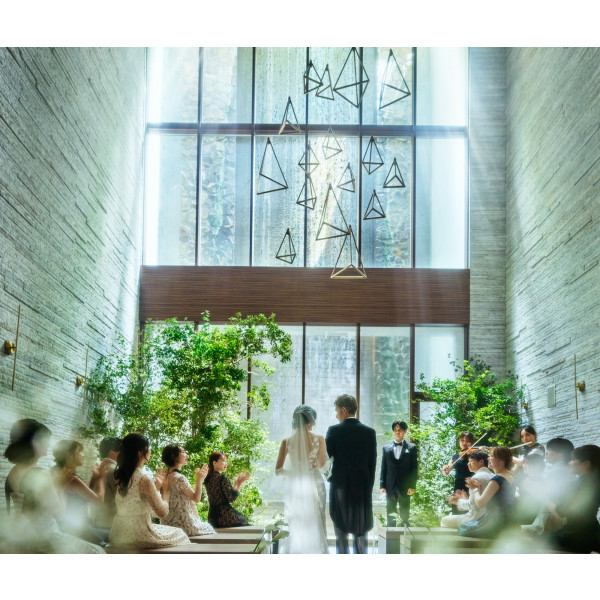 写真・画像（933枚）｜ L2126（エルニイチニロク）【ウエディングパーク】