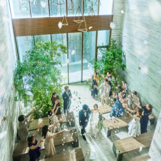 年内LAST☆【緑と光に包まれる貸切邸宅】衣装3着&Amazon2万