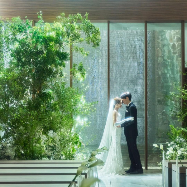 装花(198,000円分）プレゼント