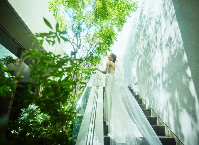 オリジナルドレスショップ「PRIMACARA」新作ドレス