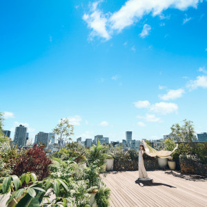 表参道の景色を一望できるテラス|Central Terrace TOKYO（セントラル テラス トーキョー）の写真(41001959)