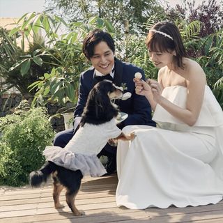 \表参道で貸切ペット婚/ワンちゃんコース料理特典付★会場見学×相談会