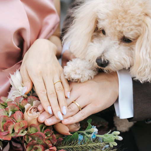Central Terrace TOKYO（セントラル テラス トーキョー）