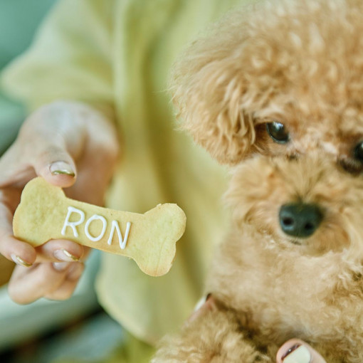 Central Terrace TOKYO（セントラル テラス トーキョー）