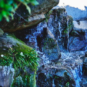 四季の彩りと伝統美が叶える寛ぎと祝福の空間|葵庭園の写真(55413273)