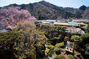 日光東照宮(世界文化遺産)