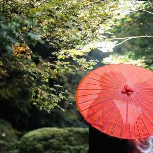 美術館前の庭園は四季折々で美しい景色を見せます。|日光東照宮(世界文化遺産)の写真(40201902)