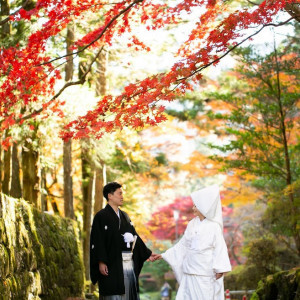 秋の紅葉シーズンのご結婚式にも大注目|日光東照宮(世界文化遺産)の写真(19093538)