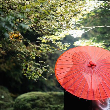 美術館前の庭園は四季折々で美しい景色を見せます。