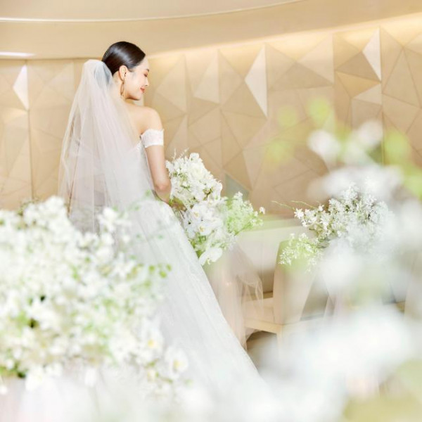 【組数限定】お特プラン誕生