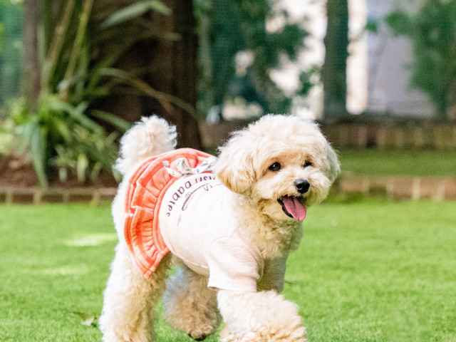 大阪府口コミランキング4年連続1位