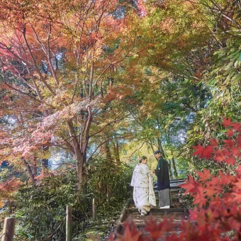 四季の移ろい豊かな偕楽園だからこそ撮れるお写真を