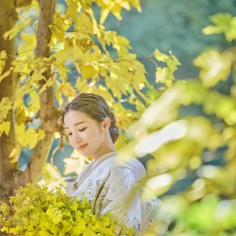 桜、新緑、もみじ、梅と様々な自然が顔を出す最高のロケーション