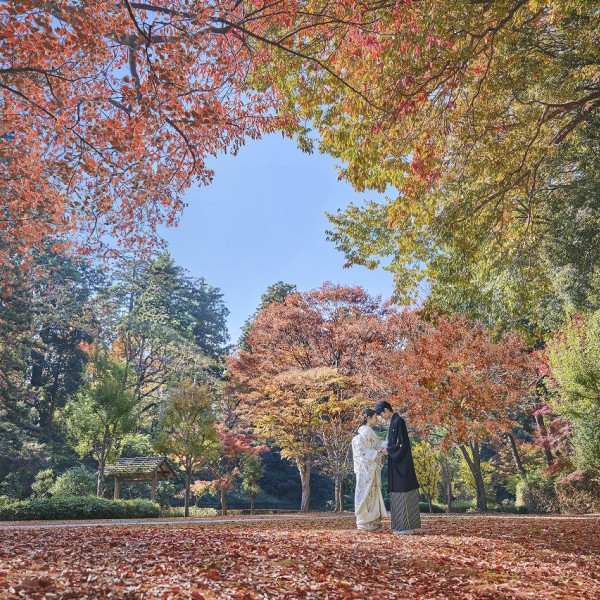 日本三名園の偕楽園の景色