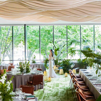 TIAD, オートグラフ コレクション（ティアド, オートグラフ コレクション）