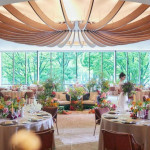 開業記念|初見学1万ギフト×60万優待|豪華試食×衣装見学