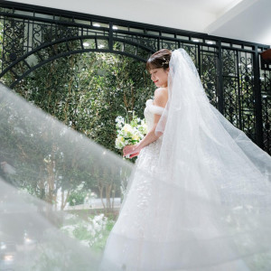 先着3組★新春SP特典【初見学◎】人気の緑チャペル×ドレス見学