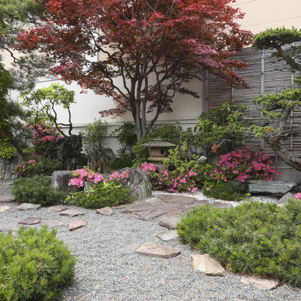 春～秋にかけては屋上にある和庭園でも撮影可能です。