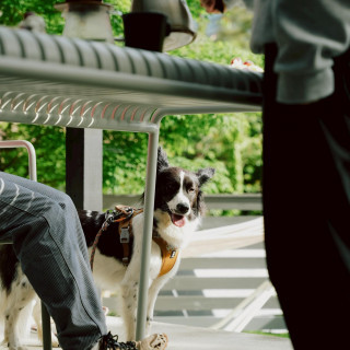 Pet Friendly Wedding＊愛犬と湖畔で叶える挙式フェア