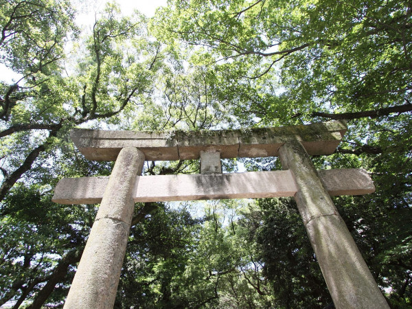 イノベーティブ・フレンチ ワタハン by Furuyu Onsen ONCRI